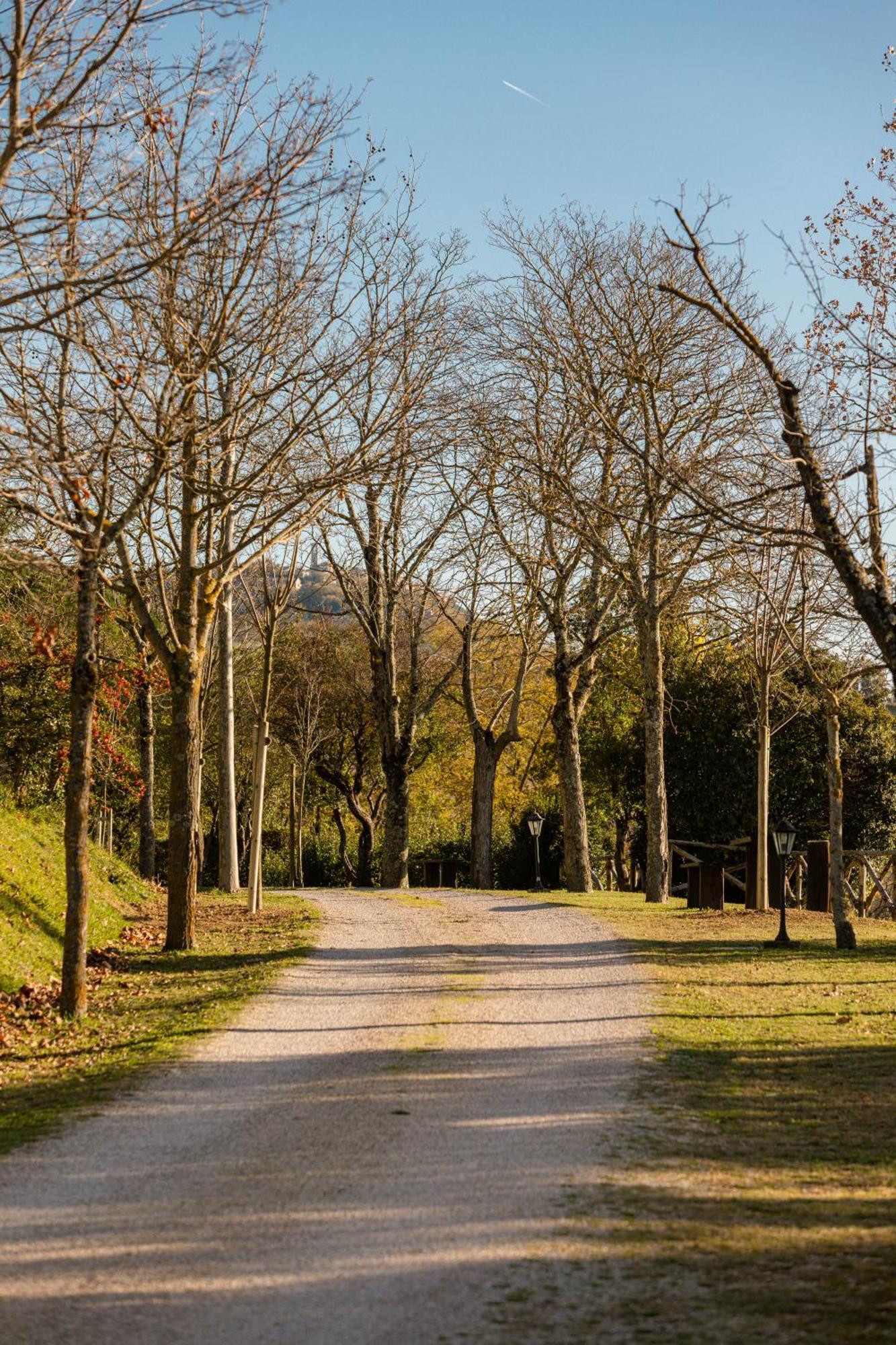 Agriturismo Le Cerque Collazzone ภายนอก รูปภาพ
