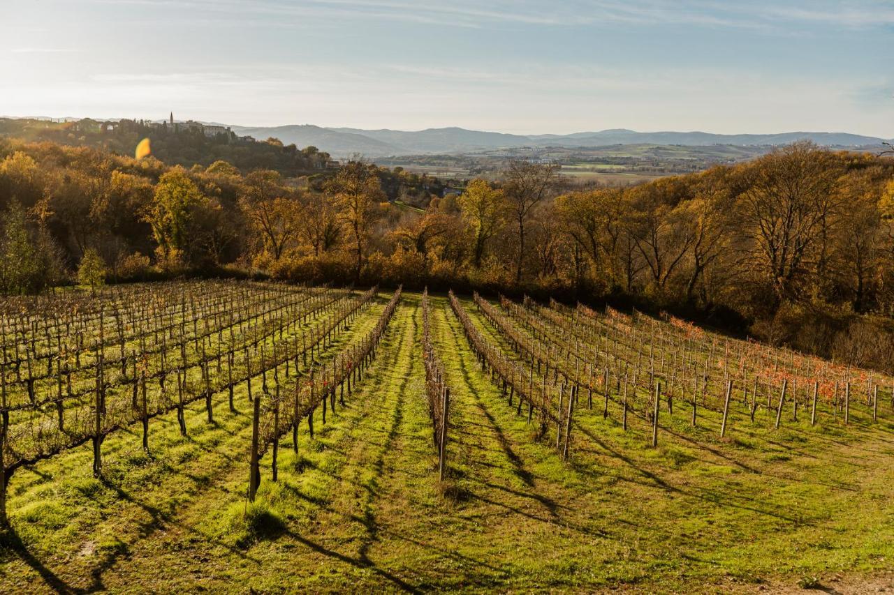 Agriturismo Le Cerque Collazzone ภายนอก รูปภาพ